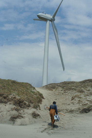 d0071596_19255579.jpg