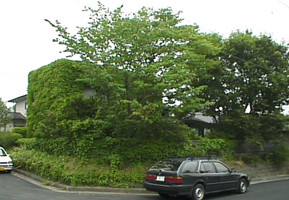 e0054299_15315875.jpg