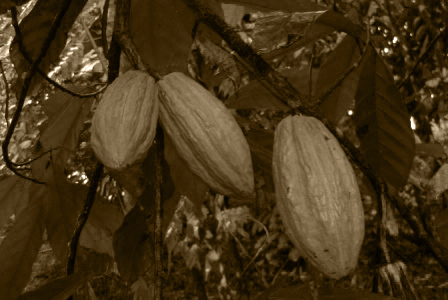 a0162301_11174890.jpg