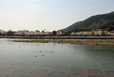 京都旅行の続き~_e0154202_17534558.jpg