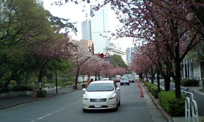 d0054704_0585551.jpg