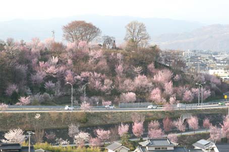 玄蕃山公園遠景_f0014205_11195929.jpg