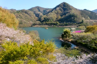 f0236311_83087.jpg