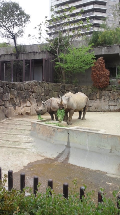 上野動物園に行ったのよ。_e0027813_13103130.jpg