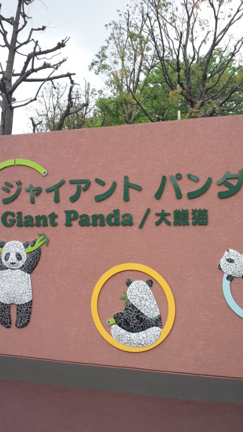 上野動物園に行ったのよ。_e0027813_1334385.jpg