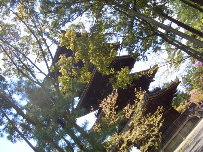 e0033713_17291249.jpg