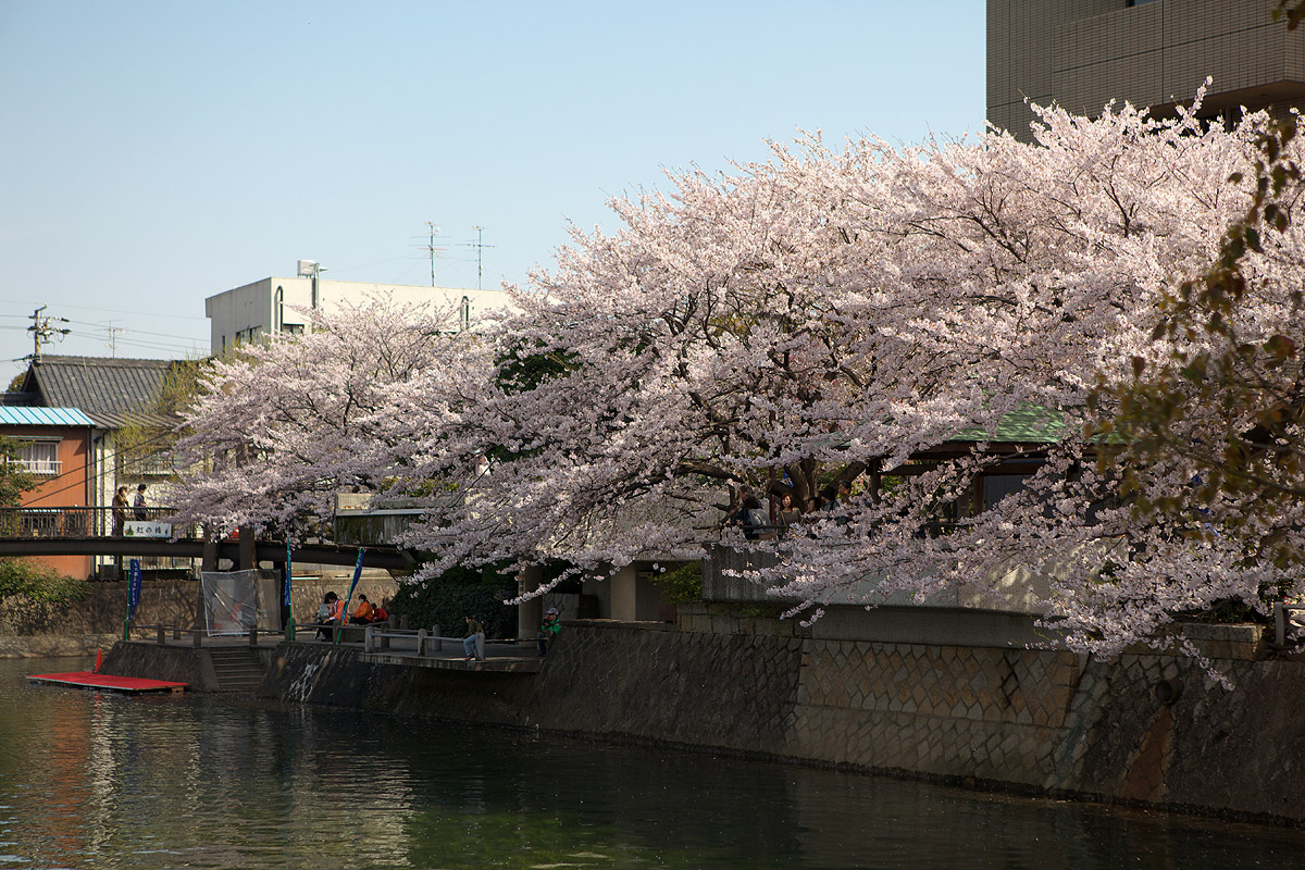 c0115616_7463281.jpg