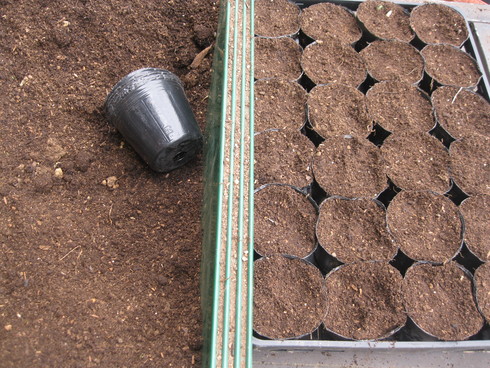 「夏野菜の植え込み」~~_a0125419_16421339.jpg