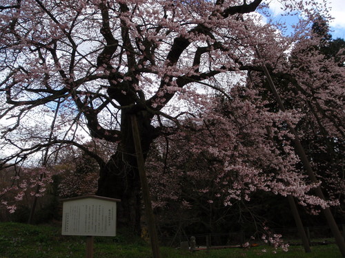 a0001020_1249732.jpg