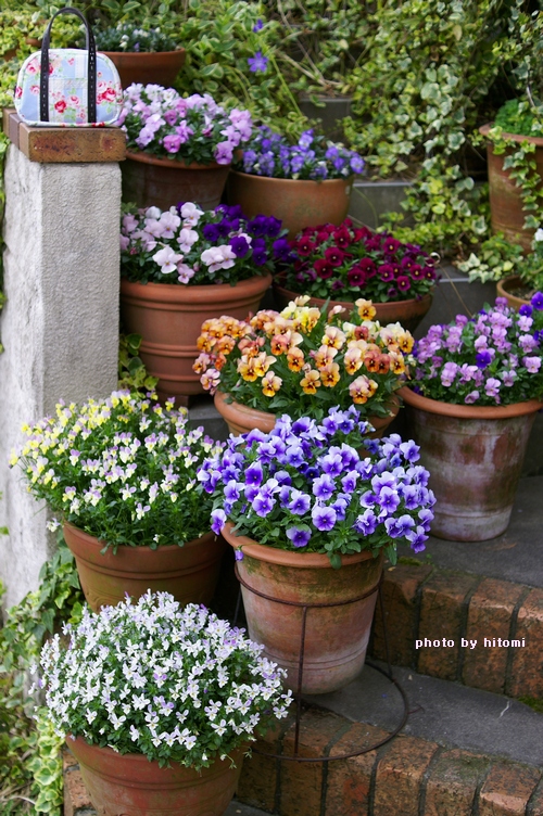 手縫いの化粧ポーチと玄関前の花 Tensiのいる情景 手縫いの化粧ポーチと玄関前の花 Tensiのいる情景