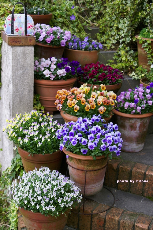 手縫いの化粧ポーチと玄関前の花 Tensiのいる情景