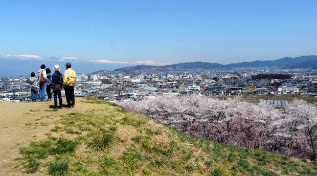 弘法山古墳の桜（松本市）_d0066822_15483913.jpg