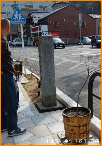 桃の花 梅の花には咲きませんの巻_a0041925_039567.jpg