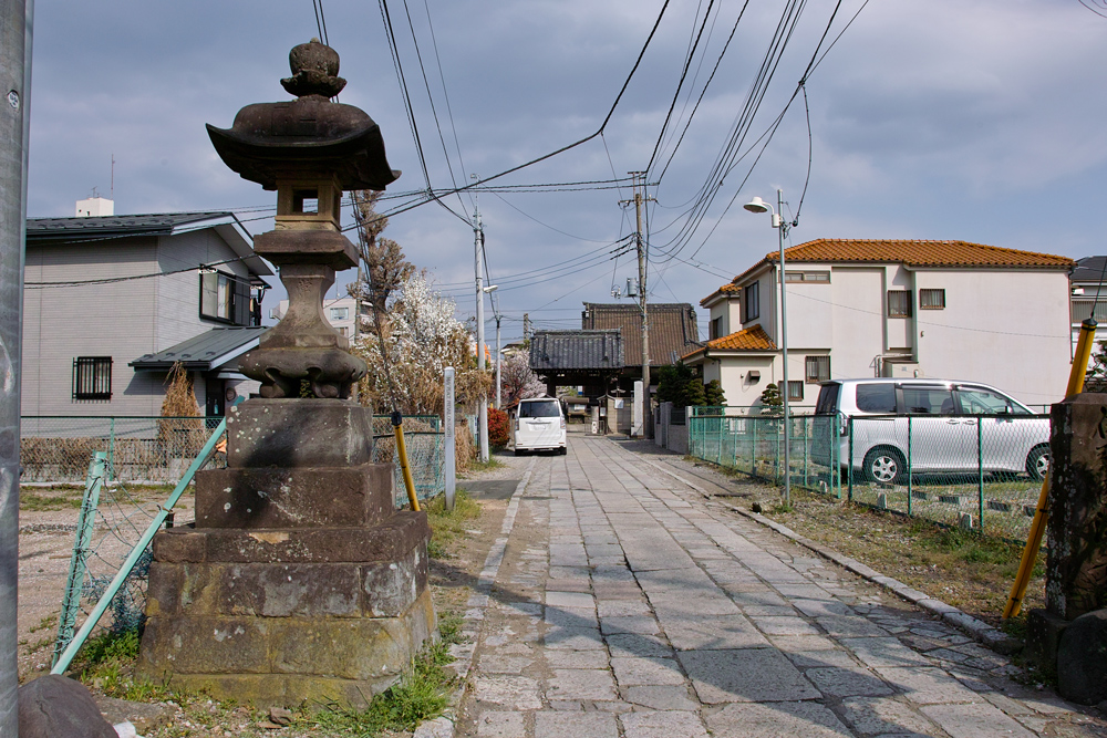 松龍寺のシモクレン　～吉宗のお休み処～_c0223825_201341.jpg