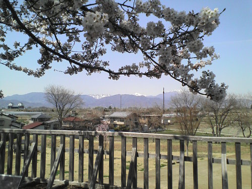e0230329_208893.jpg