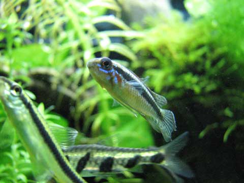 d0200130_02340.jpg