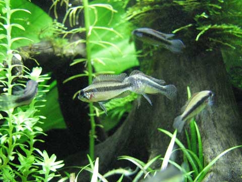 d0200130_05090.jpg