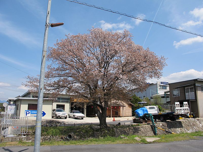 脈々と続く「水平対向6気筒エンジン」に昂る。_f0076731_14173950.jpg