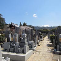 京都要庵歳時記「祖母の２７回忌　桜満開の真如堂」（１）_d0033734_20453811.jpg