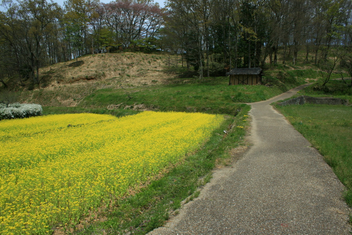 b0168840_2144368.jpg