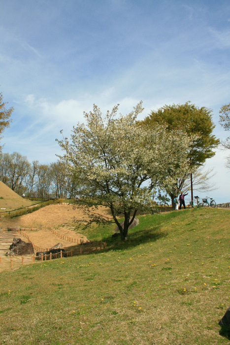 b0168840_2149062.jpg