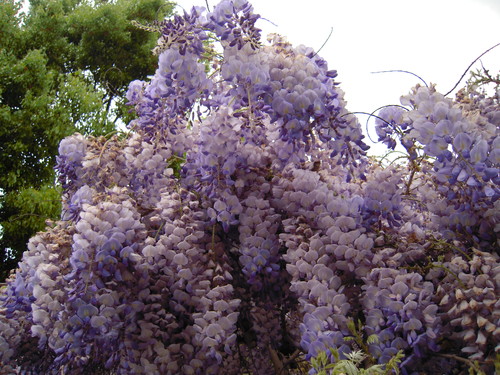 d0170140_0284734.jpg