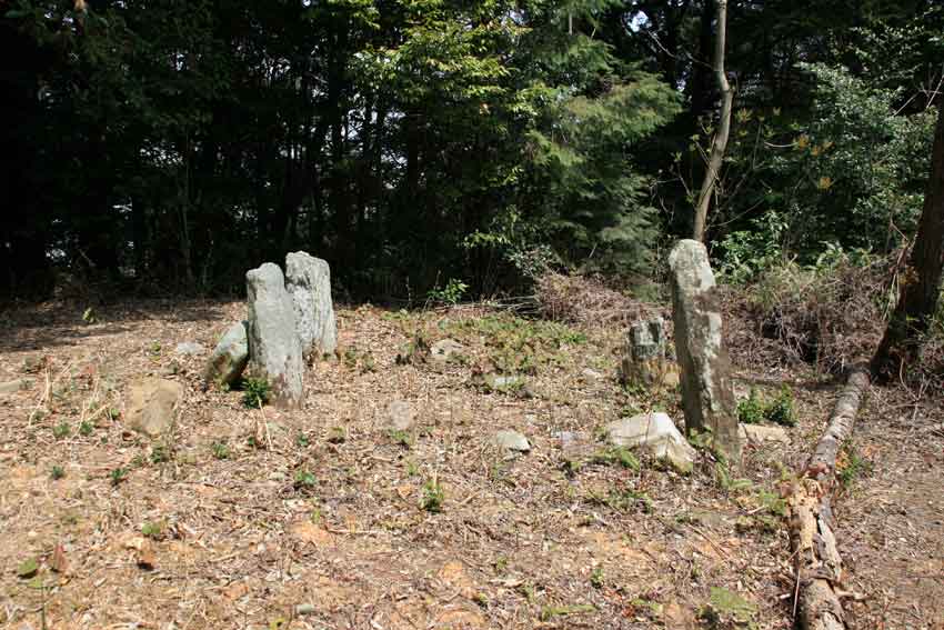 向麻山の「気になる木」と「西宮古墳祭祀遺跡」♪_d0058941_20444244.jpg