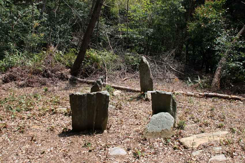 向麻山の「気になる木」と「西宮古墳祭祀遺跡」♪_d0058941_2141273.jpg