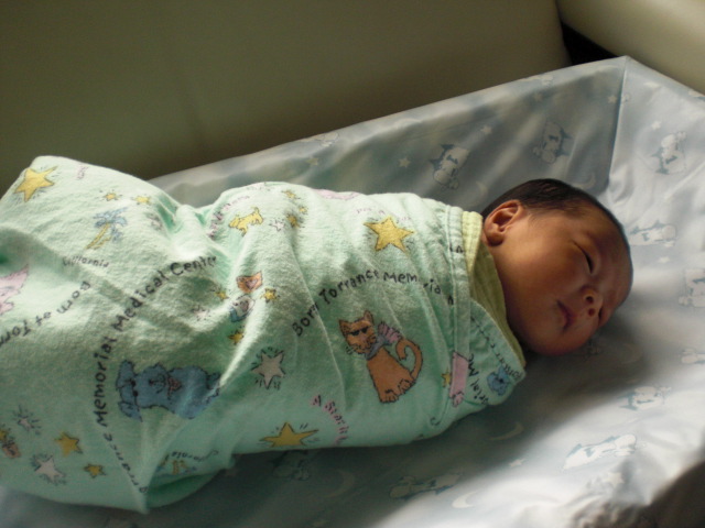 c0157348_12164020.jpg