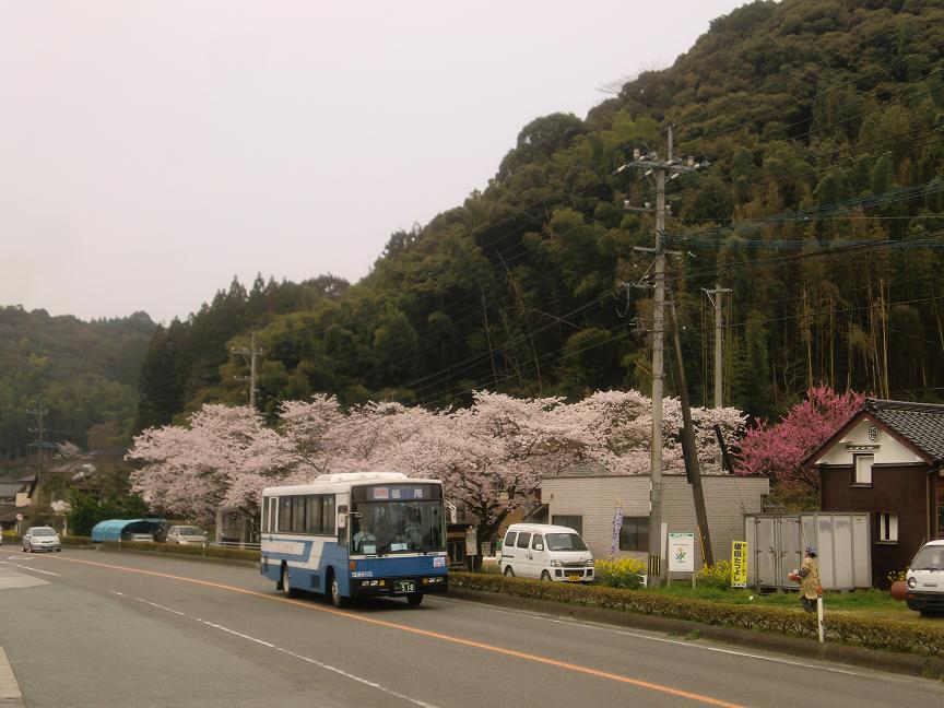 大窪・(熊本県砥用町)_d0158053_2344318.jpg