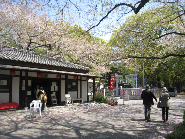 桜の増上寺_e0099756_6212567.jpg