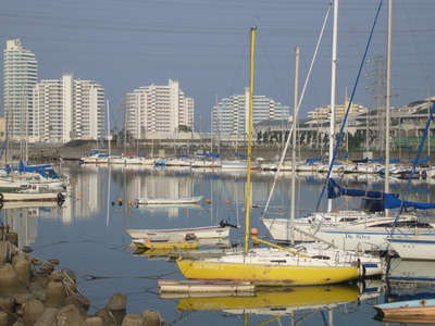 d0193569_7324572.jpg