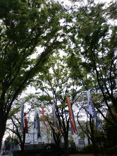 e0199771_1502386.jpg