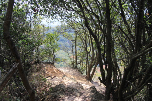 e0024081_15113637.jpg