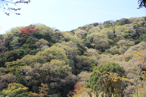 e0024081_15132391.jpg