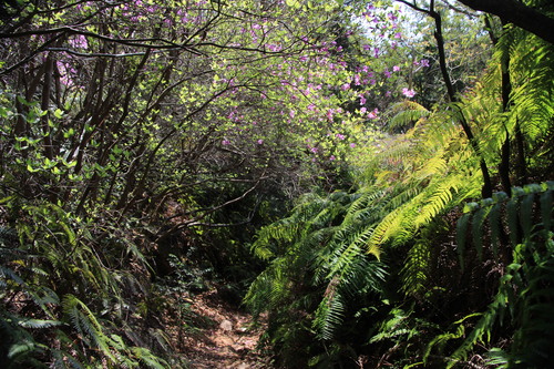e0024081_15144253.jpg