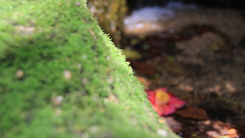 e0024081_15153273.jpg