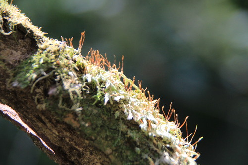 e0024081_1515529.jpg