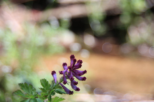 e0024081_15161986.jpg