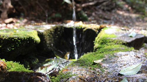 e0024081_1581692.jpg