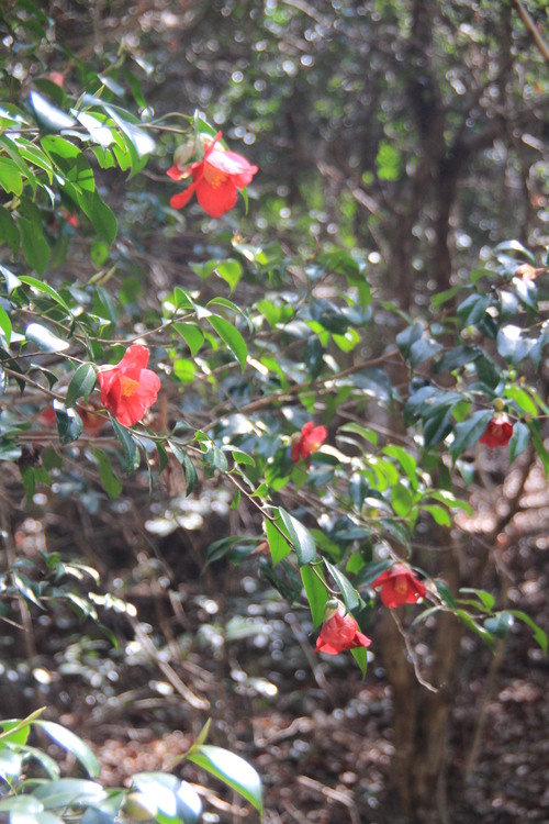 e0024081_1584795.jpg