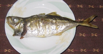 f0003283_17282435.jpg