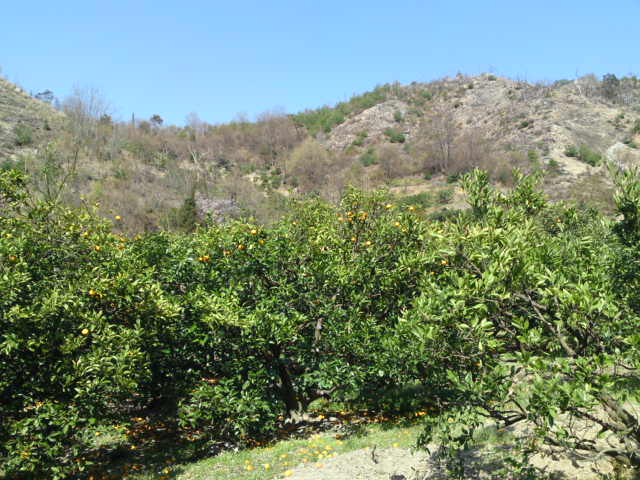 d0228287_2139101.jpg
