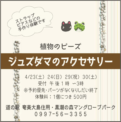 マングローブパークで「ジュズダマのストラップ作り」はいかが?_e0028387_21175337.jpg