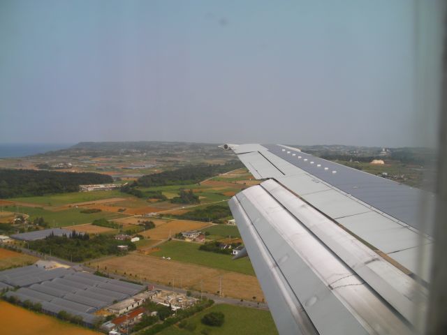 a0133388_147585.jpg
