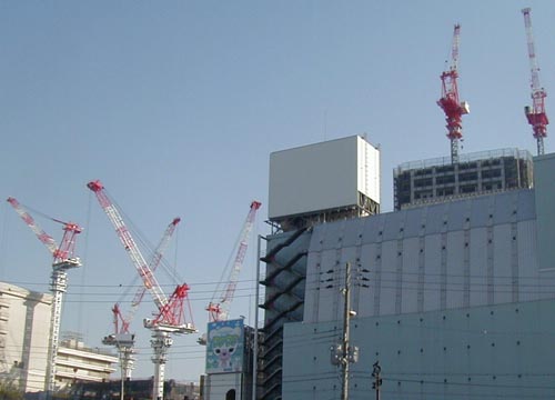 ●工事現場に鶴_d0053294_2545585.jpg