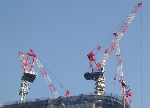 ●工事現場に鶴_d0053294_2593281.jpg