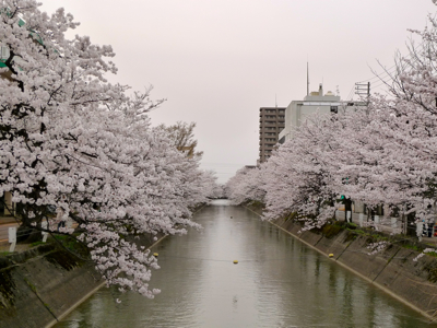a0079098_21325612.jpg