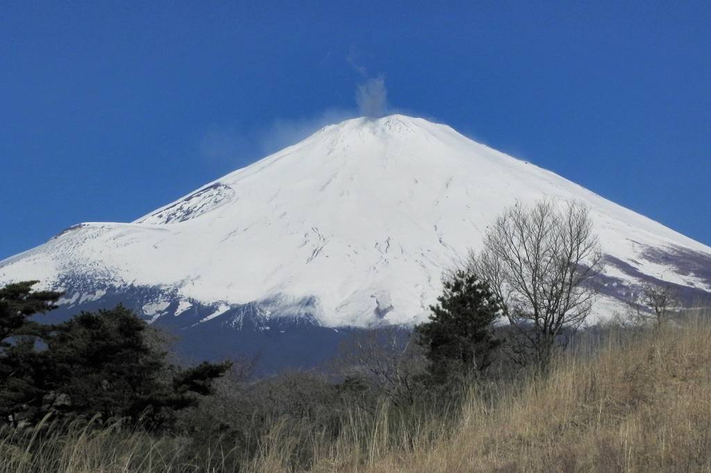 菜の花ホバ/富士山と北帰行_b0024798_547307.jpg