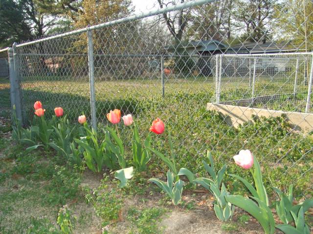 c0062603_12465730.jpg